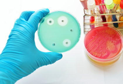 ptibility testing in petri dish, Antibiotika Resistenz
